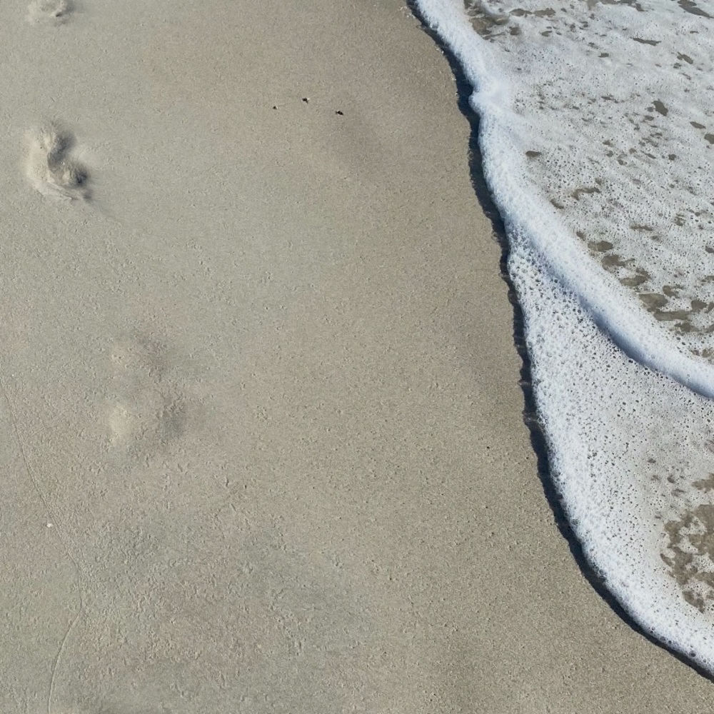 Meet your Posher, Stacey